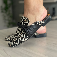 Sueco BARSA leopardo