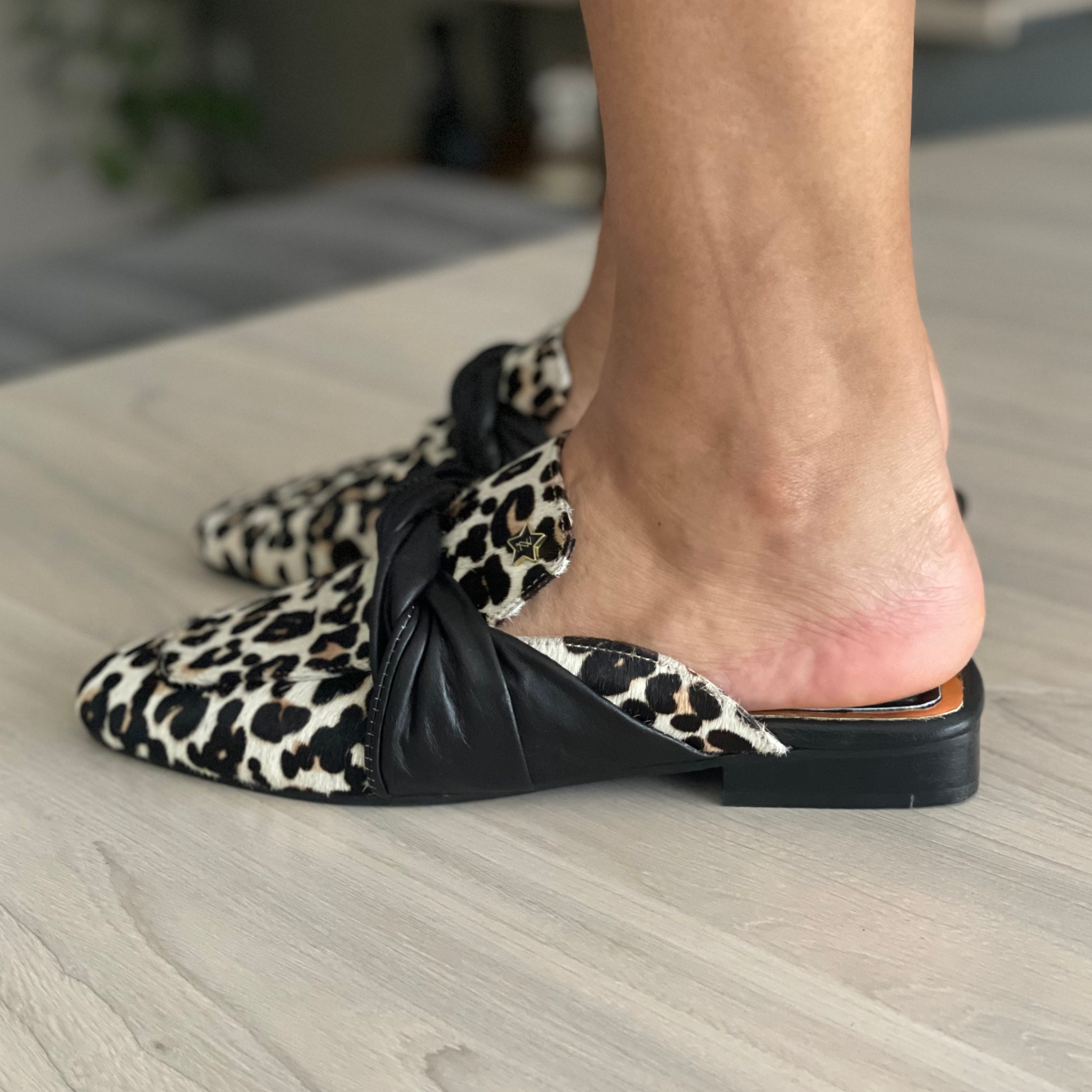 Sueco BARSA leopardo